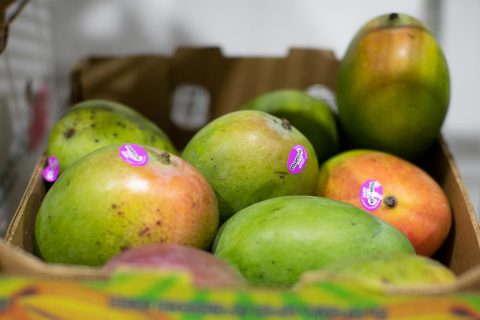 Fresh Produce delivery Mangos