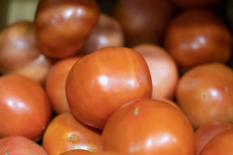 Fresh Tomatoes