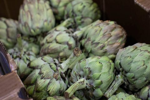 fresh artichokes