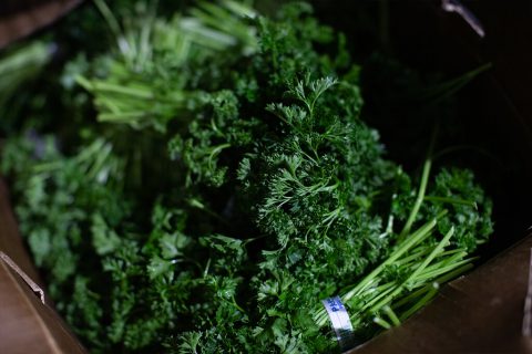 fresh garend herbs